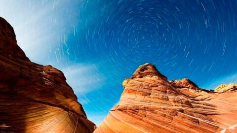 Arizona - Profesional