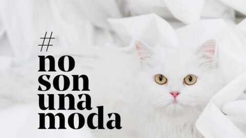 #NoSonUnaModa