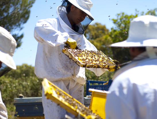 Aquí en la Onda Asturias 28-10-2016 con Darío Martínez Aquí en la Onda Asturias 28-10-2016 con Darío Martínez