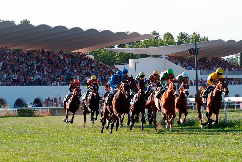 Los expertos bajitos van al hipódromo Los expertos bajitos van al hipódromo