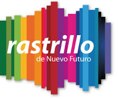 Elena Vizcay, directora de la Asociación Navarra Nuevo Futuro Elena Vizcay, directora de la Asociación Navarra Nuevo Futuro