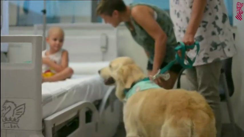 Un programa del Hospital La Fe permite a niños con cáncer adoptar perros para afrontar su hospitalización Un programa del Hospital La Fe permite a niños con cáncer adoptar perros para afrontar su hospitalización