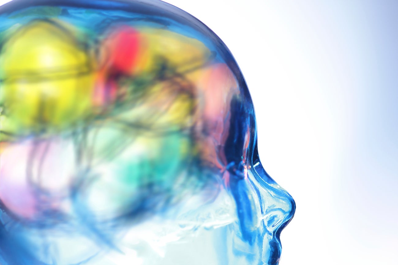 Tertulia Zona Cero: El cerebro muere después del cuerpo Tertulia Zona Cero: El cerebro muere después del cuerpo