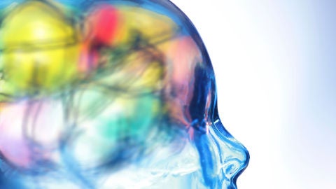 &iquest;C&oacute;mo funciona el cerebro humano?