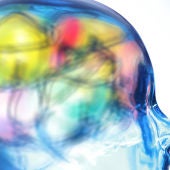 ¿Cómo funciona el cerebro humano?
