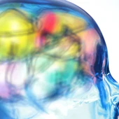 ¿Cómo funciona el cerebro humano? ¿Cómo funciona el cerebro humano?