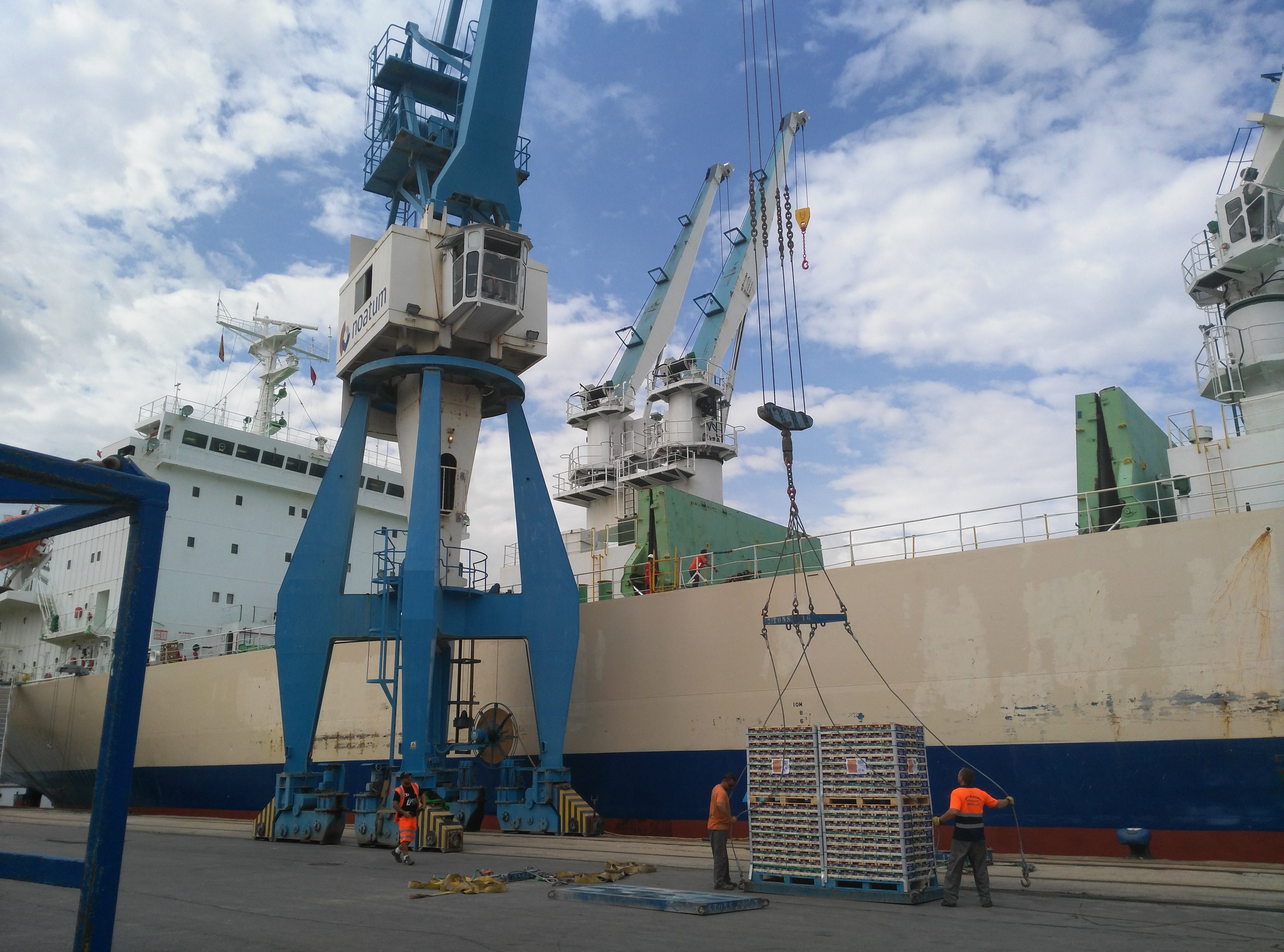 Las previsiones de exportación de cítricos a EEUU superan las 25.000 toneladas Las previsiones de exportación de cítricos a EEUU superan las 25.000 toneladas