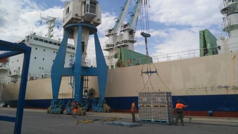 EXPORTACI&Oacute;N C&Iacute;TRICOS PUERTO CASTELL&Oacute;N