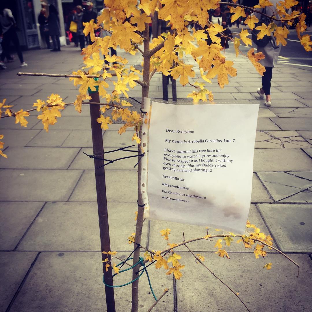 Un padre y una hija plantan un árbol en una calle del centro de Londres con un mensaje Un padre y una hija plantan un árbol en una calle del centro de Londres con un mensaje