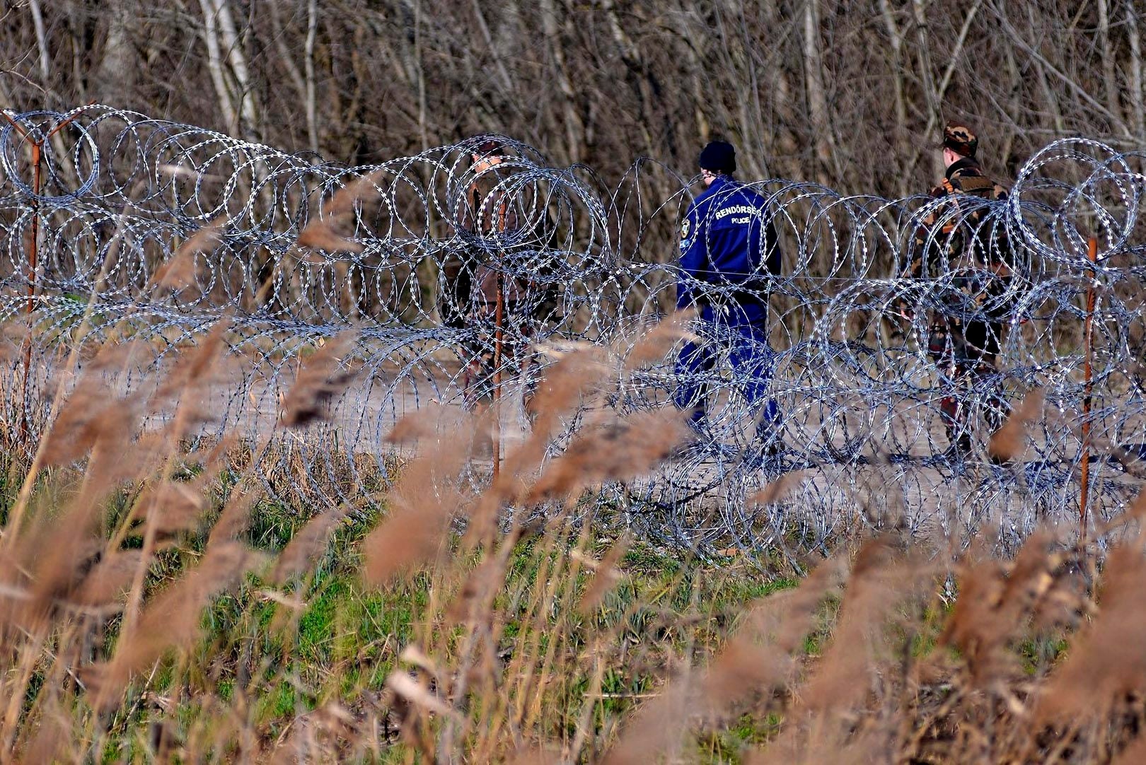 Hungría comienza a levantar una valle antimigratoria de alta tecnología Hungría comienza a levantar una valle antimigratoria de alta tecnología