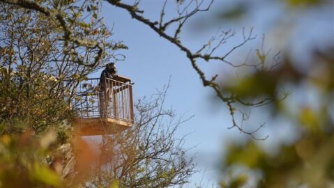 A trav&eacute;s de Twitter