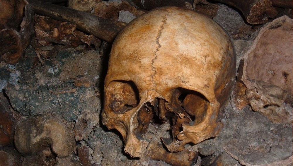 Juicio a la historia: El origen de la humanidad Juicio a la historia: El origen de la humanidad