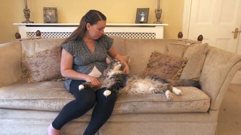 Ludo, el gato m&aacute;s largo del mundo