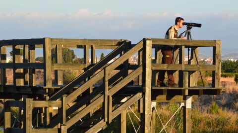 OBSERVACI&Oacute;N AVES