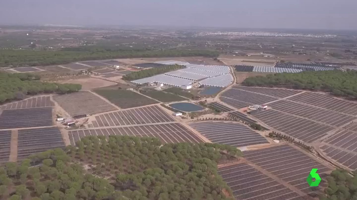Descienden los robos en el campo valenciano pero insisten en la importancia de denunciarlos Descienden los robos en el campo valenciano pero insisten en la importancia de denunciarlos