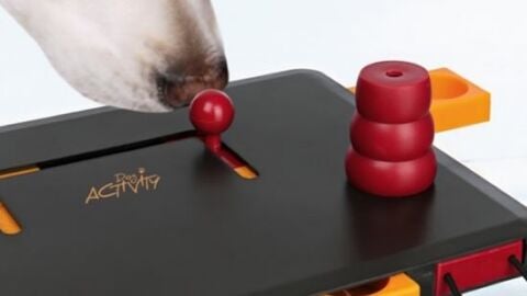 Juguete interactivo para perros