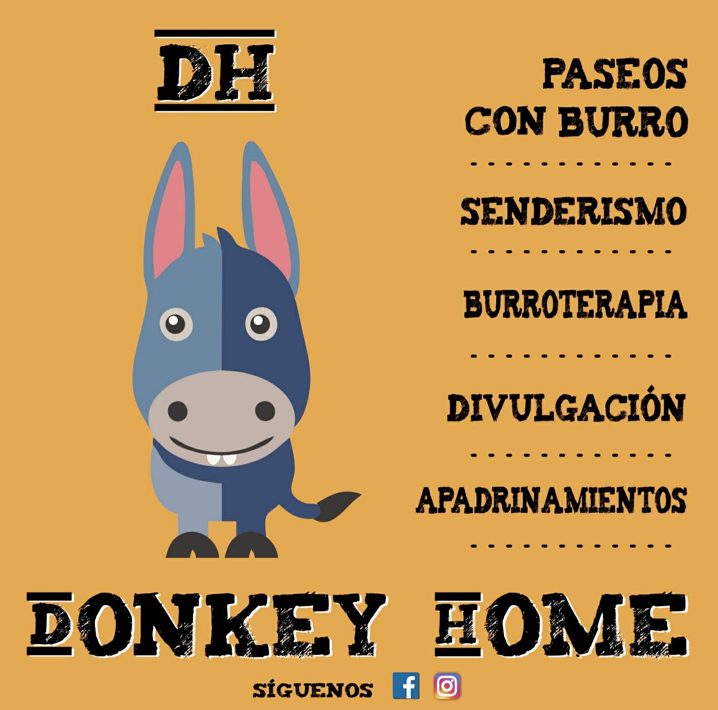Donkey-Home Navafría, burros rescatados que dan terapia Donkey-Home Navafría, burros rescatados que dan terapia