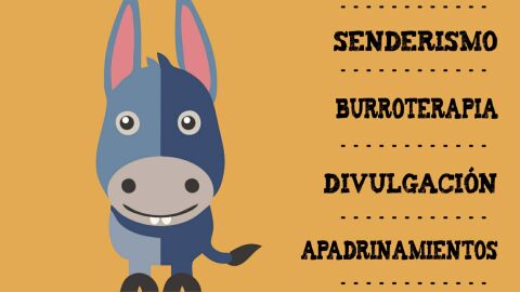Donkey-Home Navafr&iacute;a