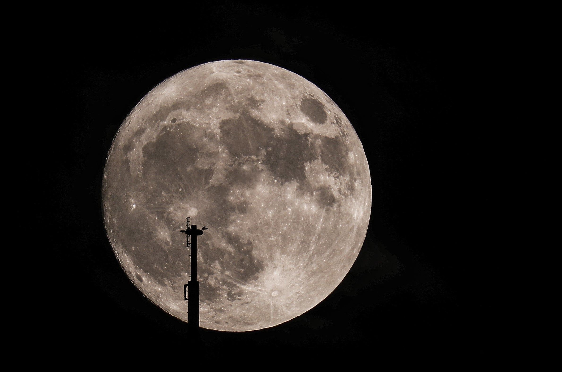 La Brújula de la ciencia: ¿Qué es la súper luna? episode artwork