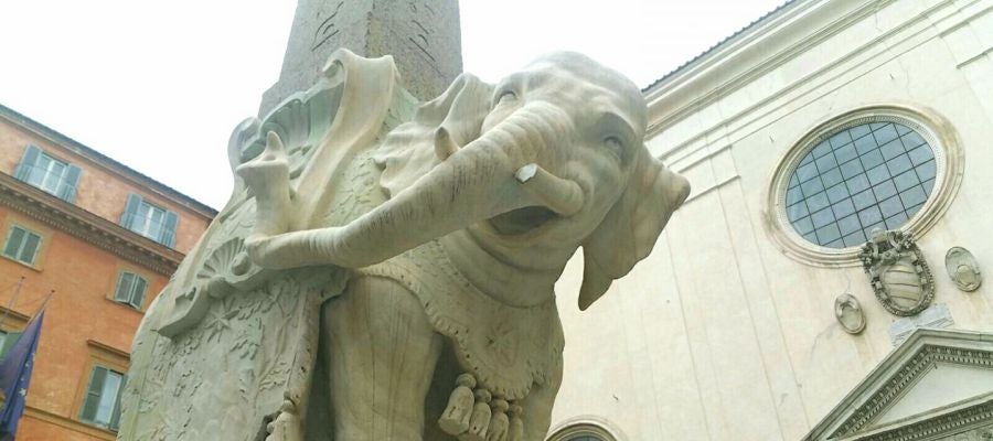 La estatua del Elefante de Bernini sin colmillo La estatua del Elefante de Bernini sin colmillo