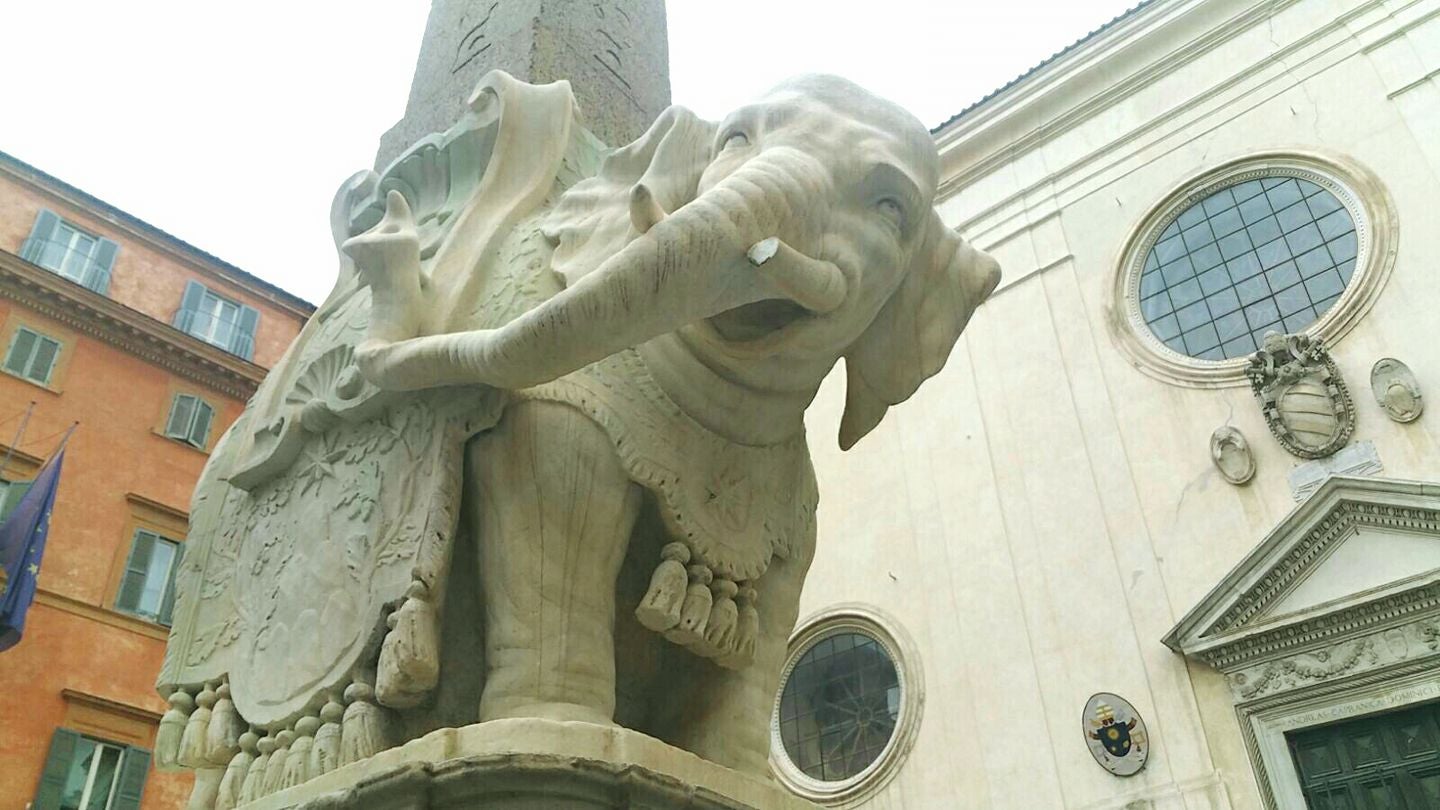 Arrancan un colmillo de la estatua del Elefante de Bernini en Roma Arrancan un colmillo de la estatua del Elefante de Bernini en Roma