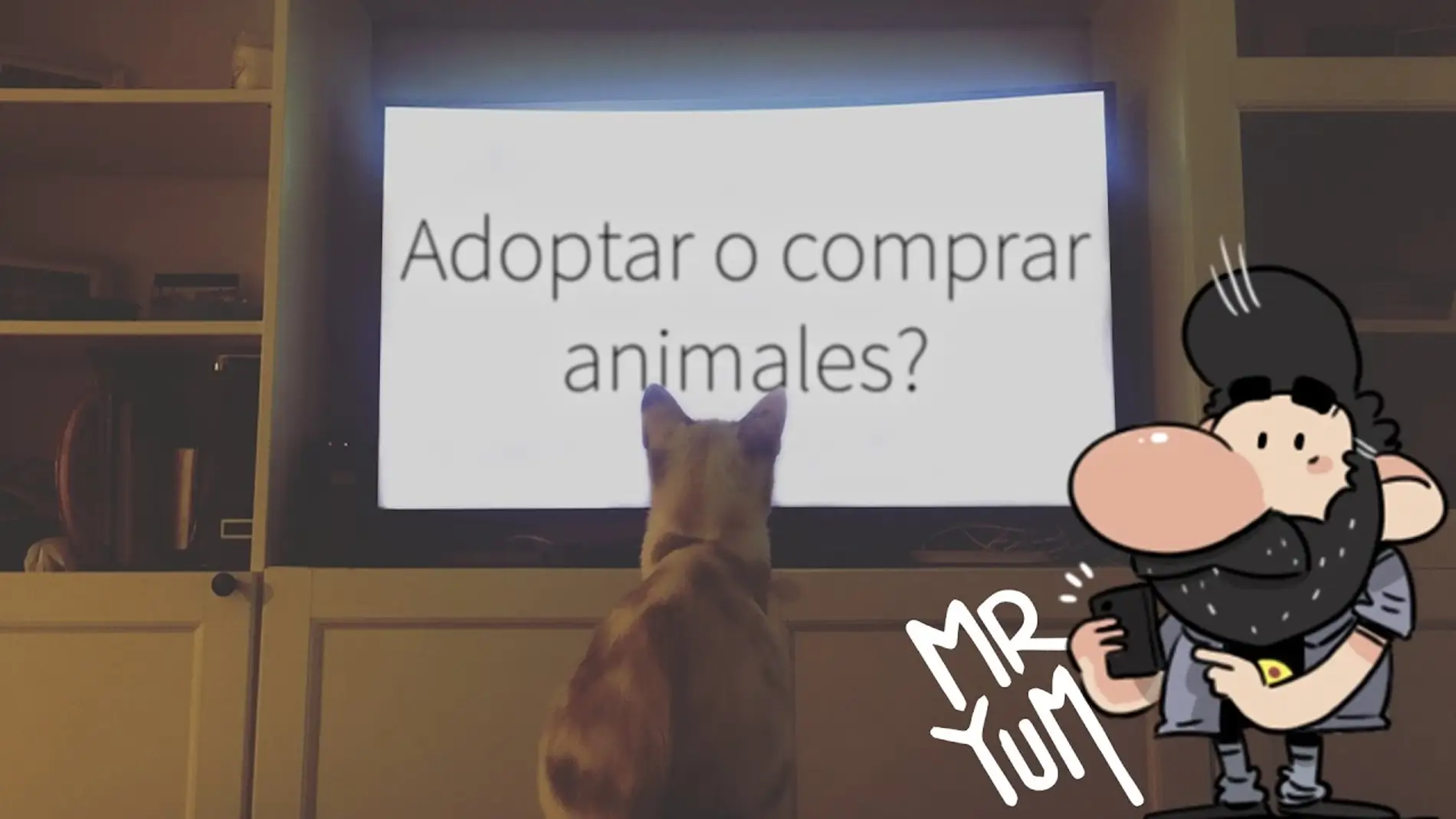Yum More | ¿Adoptar o comprar animales? | Mr.Yum Vlogs