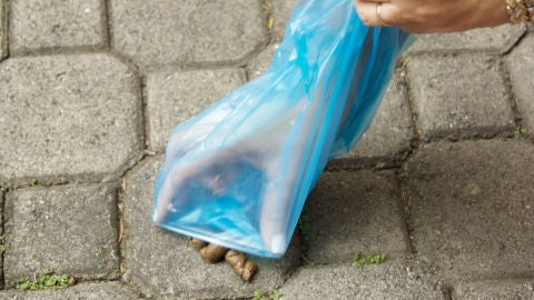 Bolsa para recoger las eces de los perros