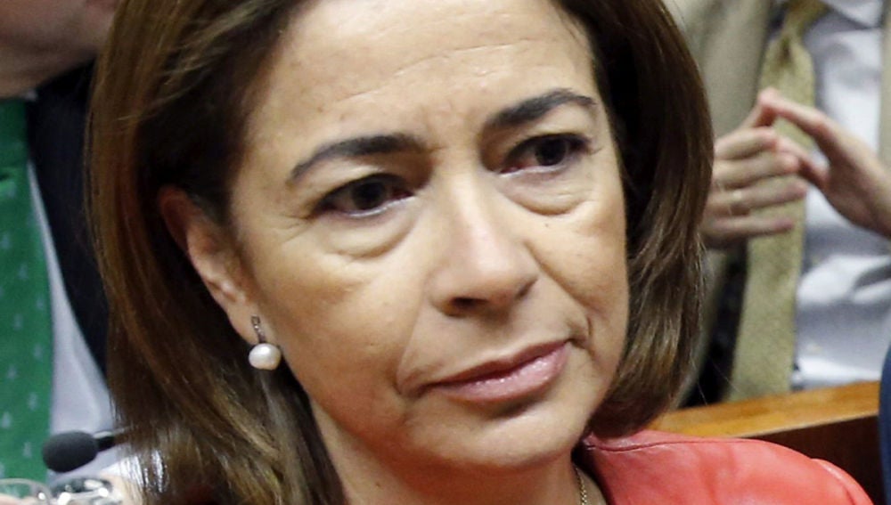 La diputada del PP en la Asamblea de Madrid, Elena González-Moñux