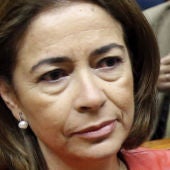 La diputada del PP en la Asamblea de Madrid, Elena González-Moñux