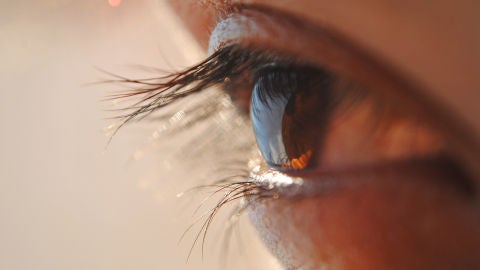 La mirada humana