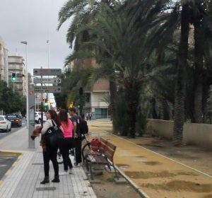 Parada de autobús de la Avenida de Alicante de Elche. Parada de autobús de la Avenida de Alicante de Elche.