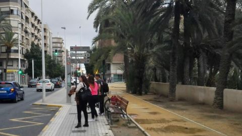 Elche