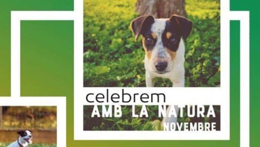 La campaña Celebrem amb la Natura conmemora el Día Mundial de las Mascotas este domingo.