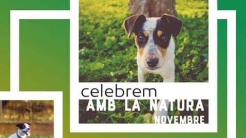 La campa&ntilde;a Celebrem amb la Natura conmemora el D&iacute;a Mundial de las Mascotas este domingo.