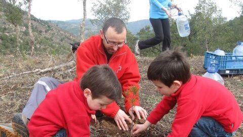 CRUZ ROJA DIA VOLUNTARIADO