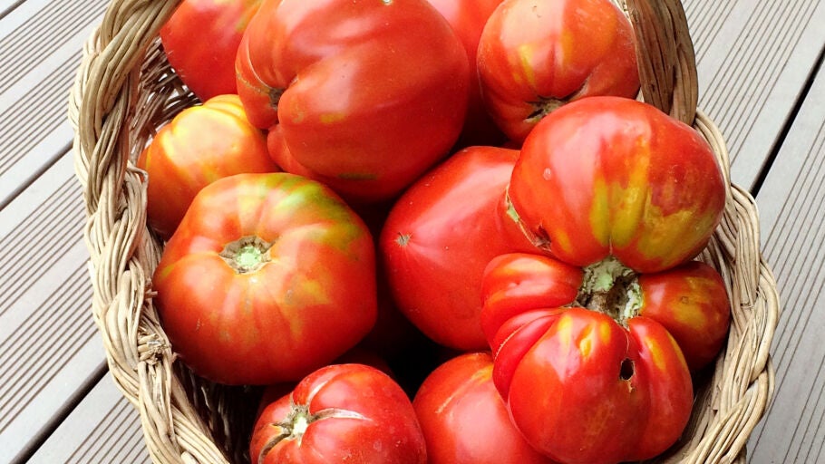 Tomates