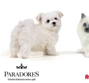 Paradores que admiten perros Paradores que admiten perros