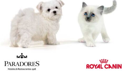 Paradores que admiten perros