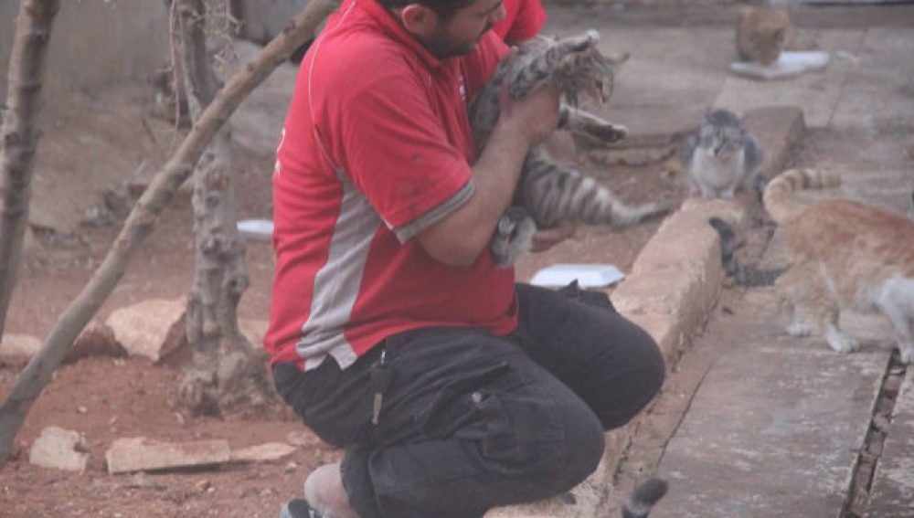 Mohammad Alaa, el salvador de los gatos de Alepo