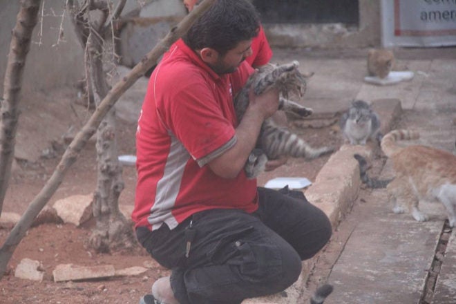 El salvador de los gatos de Alepo, candidato para el Nóbel de la Paz El salvador de los gatos de Alepo, candidato para el Nóbel de la Paz