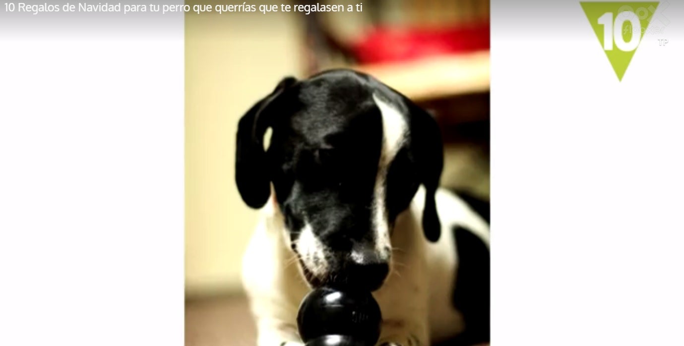 Internet: Los mejores regalos de Navidad para nuestros perros Internet: Los mejores regalos de Navidad para nuestros perros
