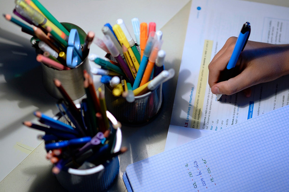 ¿Los deberes son una carga insoportable para muchos niños? ¿Los deberes son una carga insoportable para muchos niños?