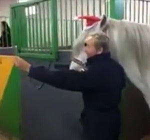 Frame 23.008525 de: Los caballos de la Policía Nacional se suman a la moda del "mannequín challenge" Frame 23.008525 de: Los caballos de la Policía Nacional se suman a la moda del "mannequín challenge"
