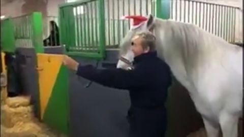 Frame 23.008525 de: Los caballos de la Polic&iacute;a Nacional se suman a la moda del "mannequ&iacute;n challenge"