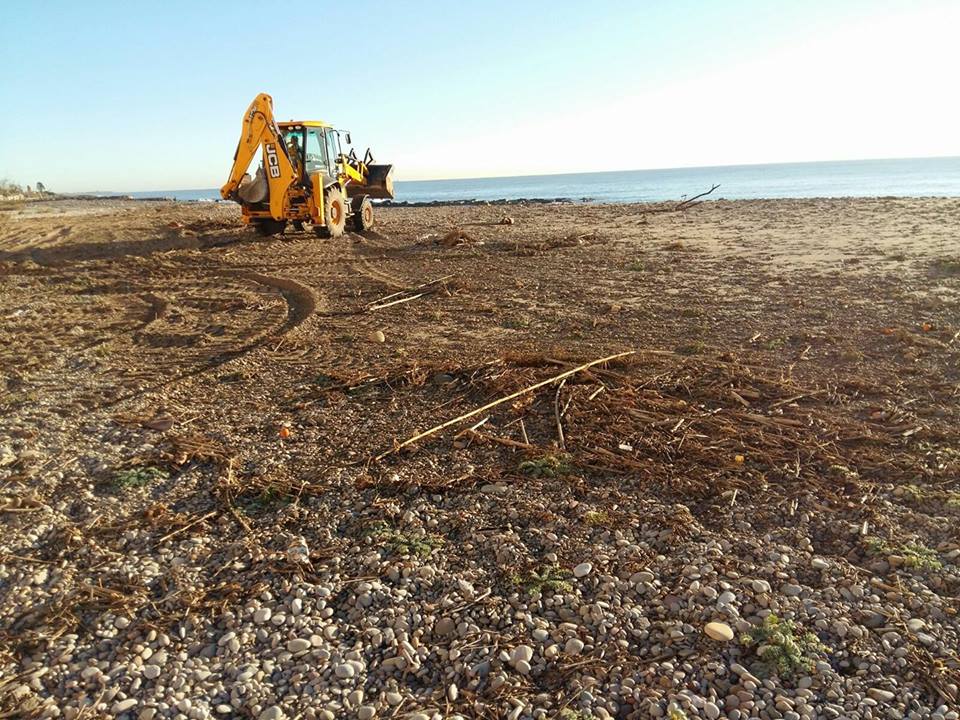 Borriana cierra el año con una campaña de limpieza de sus playas y el Clot Borriana cierra el año con una campaña de limpieza de sus playas y el Clot