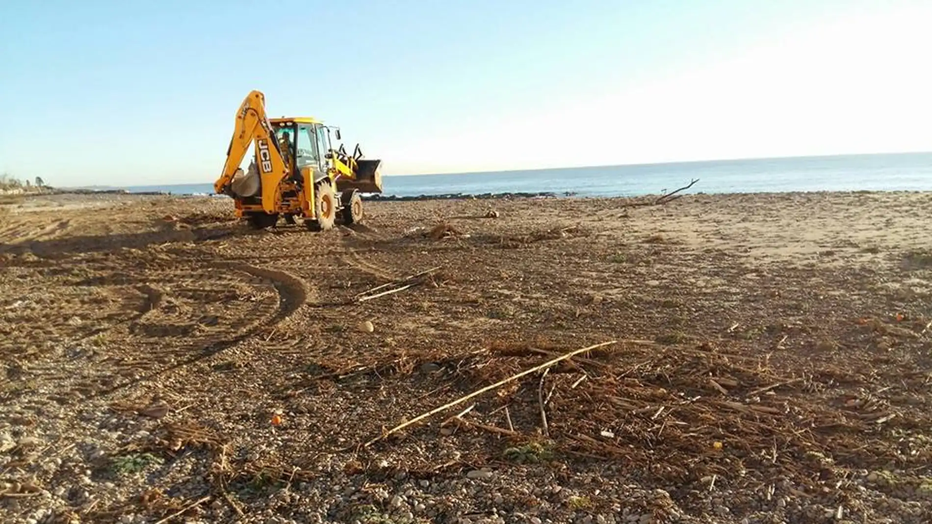Trabajos de limpieza en la costa de Borriana.