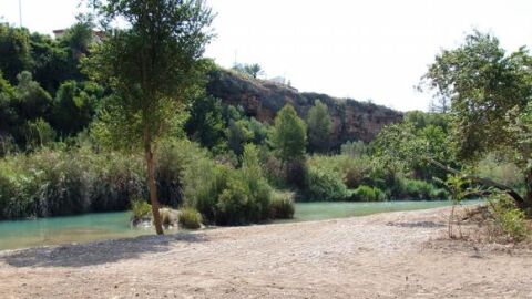 Per primera vegada l'ajuntament de Vila-real destinar&agrave; una l&iacute;nia d'ajudes als regants i el sector agrari en general per a afavorir la sostenibilitat.