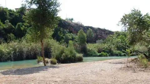 Els agricultors i regants rebran fins a 100.000 euros en ajudes per un ús racional de l'aigua. Per primera vegada l'ajuntament de Vila-real destinarà una línia d'ajudes als regants i el sector agrari en general per a afavorir la sostenibilitat.
