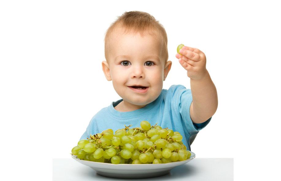 Doctor Mario Fernández: "Los más pequeños no deberían de tomar las uvas en Nochevieja" Doctor Mario Fernández: "Los más pequeños no deberían de tomar las uvas en Nochevieja"