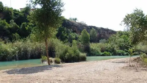Els agricultors i regants rebran fins a 100.000 d'ajudes per a un ús racional de l'aigua. Per primera vegada l'ajuntament de Vila-real destinarà una línia d'ajudes als regants i el sector agrari en general per a afavorir la sostenibilitat.